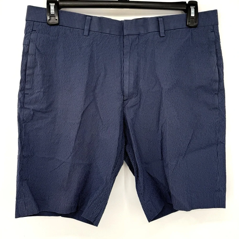 Theory Men's Blue Striped Size 34 Cotton Nylon Blend Casual Walking Beach Shorts